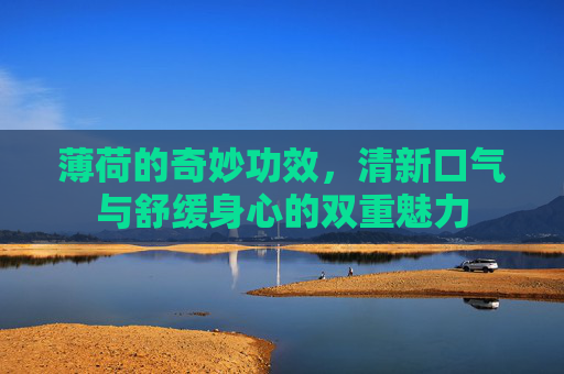 薄荷的奇妙功效，清新口气与舒缓身心的双重魅力