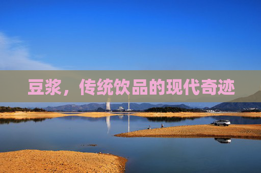 豆浆,传统饮品的现代奇迹 豆浆,传统饮品的现代奇迹