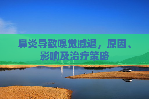 鼻炎导致嗅觉减退,原因、影响及治疗策略 鼻炎导致嗅觉减退,原因、影响及治疗策略