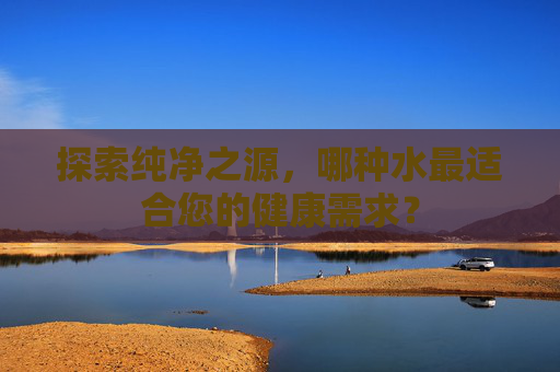 探索纯净之源,哪种水最适合您的健康需求? 探索纯净之源,哪种水最适合您的健康需求?