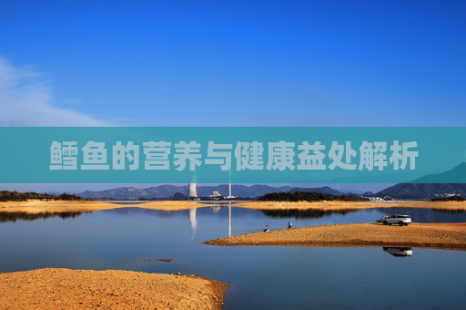 鳕鱼的营养与健康益处解析 鳕鱼的营养与健康益处解析