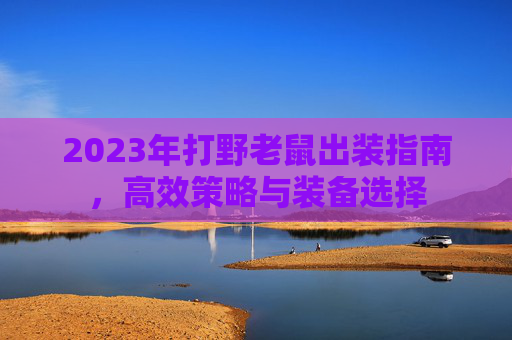 2023年打野老鼠出装指南，高效策略与装备选择
