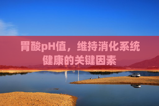 胃酸pH值,维持消化系统健康的关键因素 胃酸pH值,维持消化系统健康的关键因素