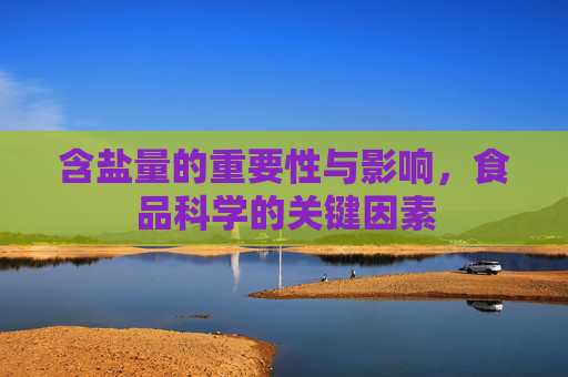 含盐量的重要性与影响，食品科学的关键因素