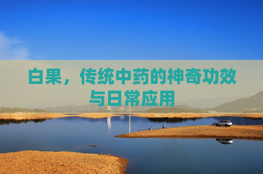 白果，传统中药的神奇功效与日常应用