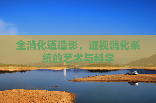 全消化道造影，透视消化系统的艺术与科学