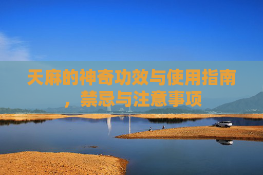 天麻的神奇功效与使用指南，禁忌与注意事项