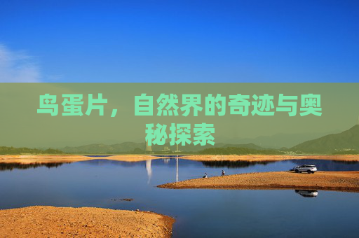 鸟蛋片，自然界的奇迹与奥秘探索