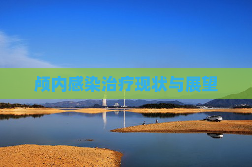 颅内感染治疗现状与展望