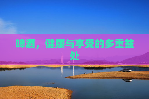 啤酒，健康与享受的多重益处