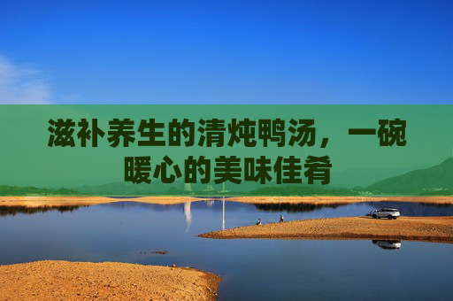 滋补养生的清炖鸭汤,一碗暖心的美味佳肴 滋补养生的清炖鸭汤,一碗暖心的美味佳肴