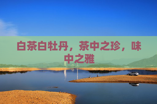 白茶白牡丹，茶中之珍，味中之雅