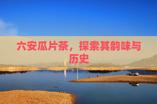 六安瓜片茶,探索其韵味与历史 六安瓜片茶,探索其韵味与历史