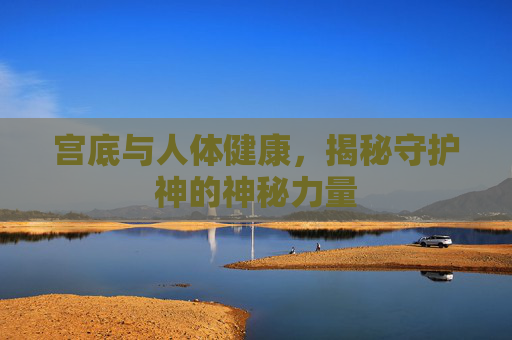 宫底与人体健康，揭秘守护神的神秘力量