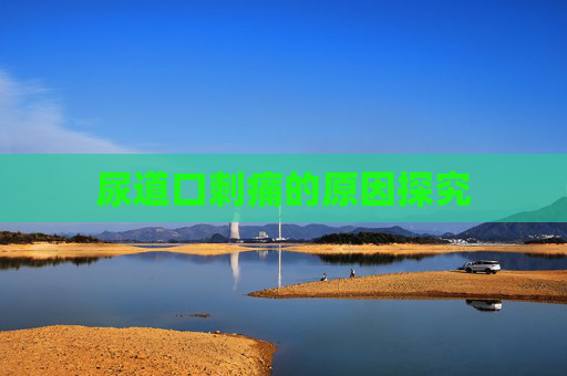 尿道口刺痛的原因探究