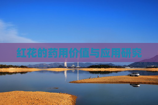 红花的药用价值与应用研究