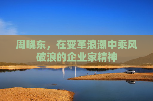 周晓东，在变革浪潮中乘风破浪的企业家精神