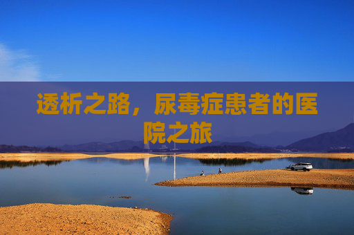 透析之路，尿毒症患者的医院之旅