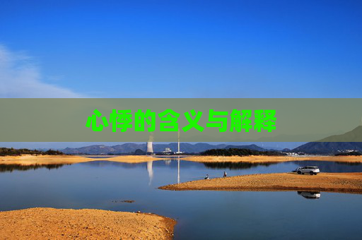 心悸的含义与解释