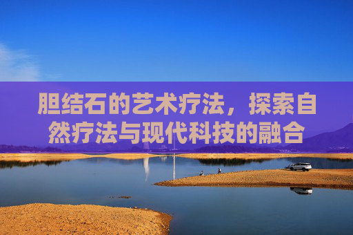 胆结石的艺术疗法，探索自然疗法与现代科技的融合