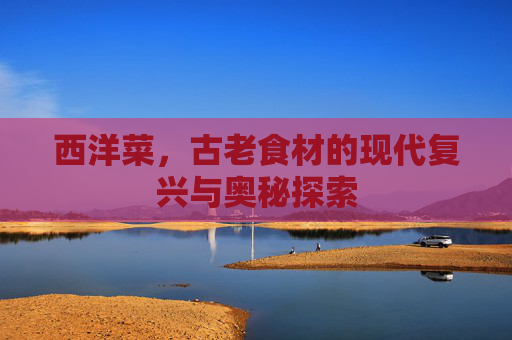 西洋菜,古老食材的现代复兴与奥秘探索 西洋菜,古老食材的现代复兴与奥秘探索