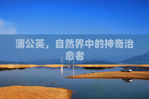 蒲公英,自然界中的神奇治愈者 蒲公英,自然界中的神奇治愈者
