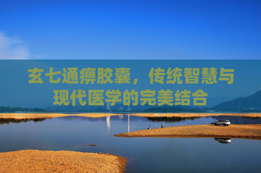 玄七通痹胶囊，传统智慧与现代医学的完美结合