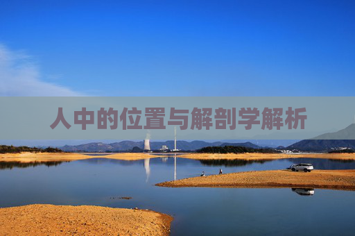人中的位置与解剖学解析
