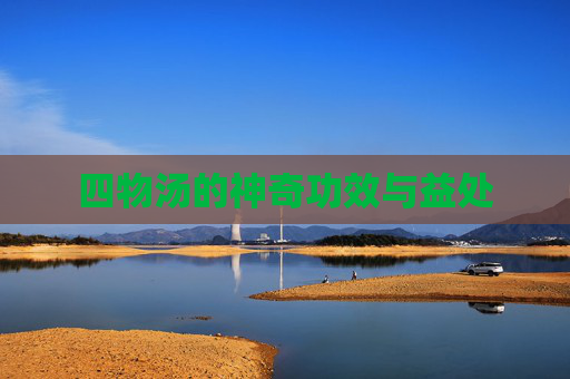 四物汤的神奇功效与益处