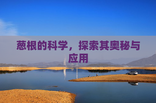 葱根的科学，探索其奥秘与应用