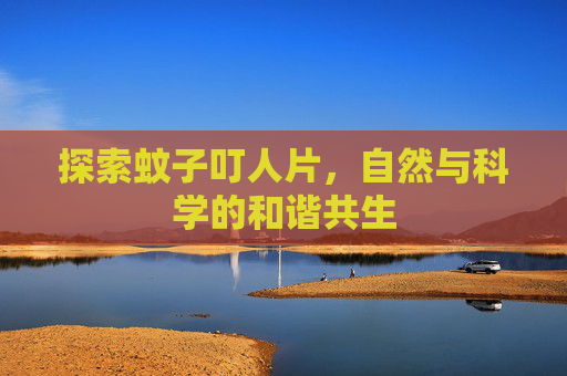 探索蚊子叮人片,自然与科学的和谐共生 探索蚊子叮人片,自然与科学的和谐共生