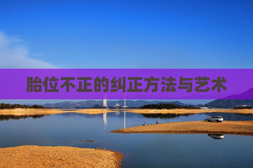 胎位不正的纠正方法与艺术 胎位不正的纠正方法与艺术
