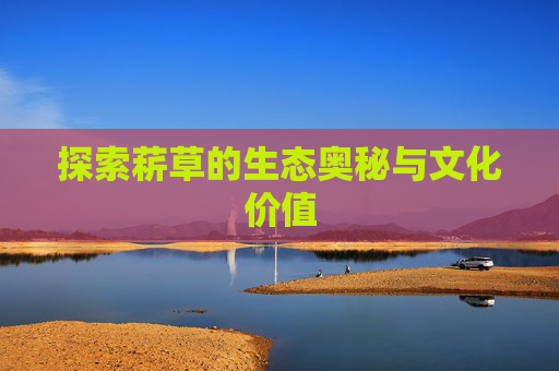 探索菥草的生态奥秘与文化价值 探索菥草的生态奥秘与文化价值
