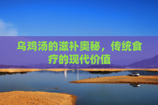 乌鸡汤的滋补奥秘,传统食疗的现代价值 乌鸡汤的滋补奥秘,传统食疗的现代价值