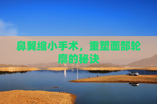 鼻翼缩小手术,重塑面部轮廓的秘诀 鼻翼缩小手术,重塑面部轮廓的秘诀