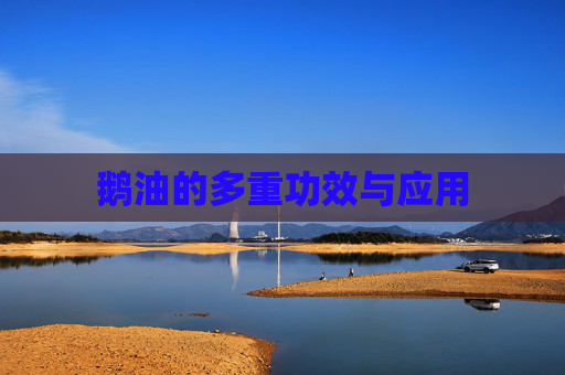 鹅油的多重功效与应用 鹅油的多重功效与应用