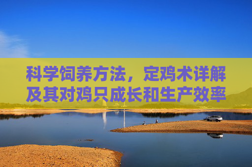 科学饲养方法,定鸡术详解及其对鸡只成长和生产效率的影响 科学饲养方法,定鸡术详解及其对鸡只成长和生产效率的影响