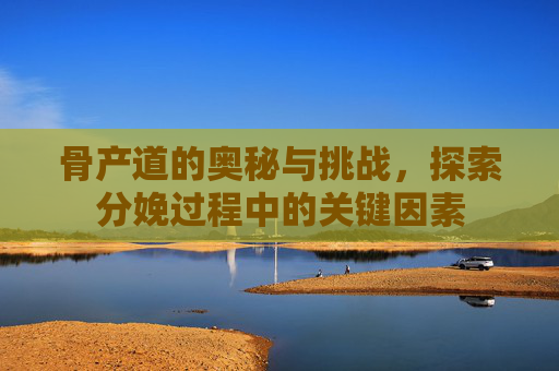 骨产道的奥秘与挑战,探索分娩过程中的关键因素 骨产道的奥秘与挑战,探索分娩过程中的关键因素