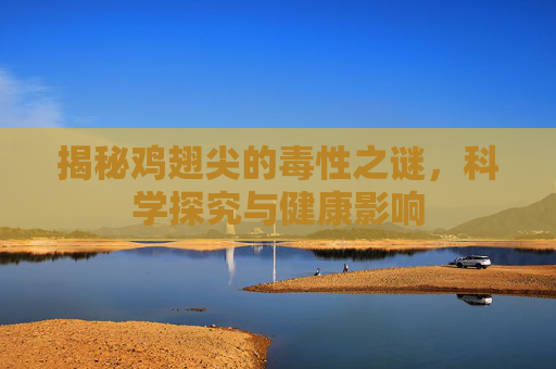 揭秘鸡翅尖的毒性之谜,科学探究与健康影响 揭秘鸡翅尖的毒性之谜,科学探究与健康影响