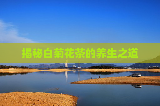 揭秘白菊花茶的养生之道 揭秘白菊花茶的养生之道