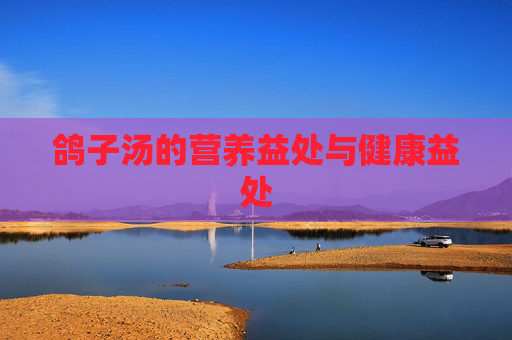 鸽子汤的营养益处与健康益处 鸽子汤的营养益处与健康益处