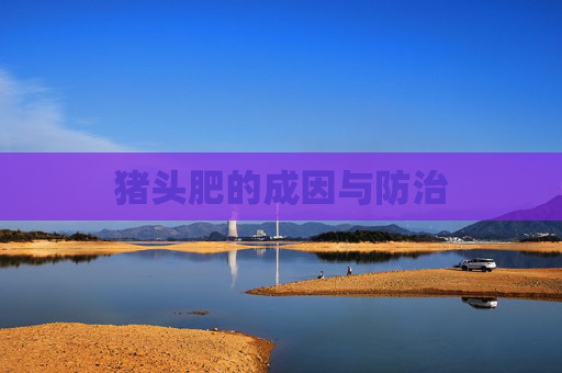 猪头肥的成因与防治 猪头肥的成因与防治