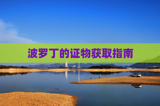 波罗丁的证物获取指南