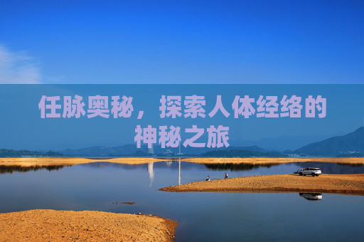 任脉奥秘，探索人体经络的神秘之旅