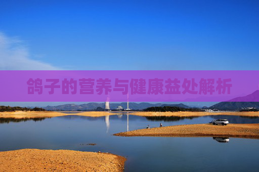 鸽子的营养与健康益处解析