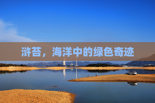 浒苔，海洋中的绿色奇迹