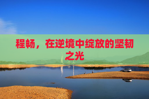 程畅，在逆境中绽放的坚韧之光