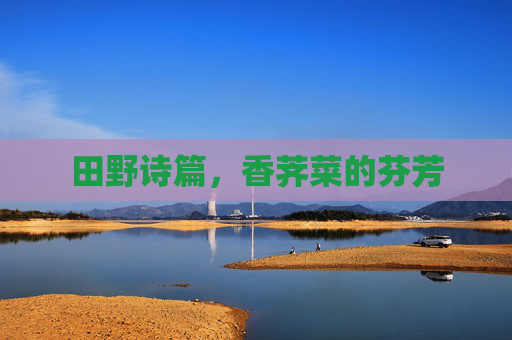 田野诗篇,香荠菜的芬芳 田野诗篇,香荠菜的芬芳