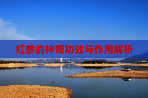红参的神奇功效与作用解析