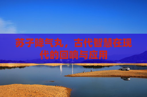 苏子降气丸,古代智慧在现代的回响与应用 苏子降气丸,古代智慧在现代的回响与应用